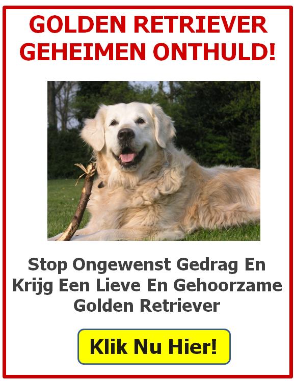 eBook Golden retriever geheimen onthuld