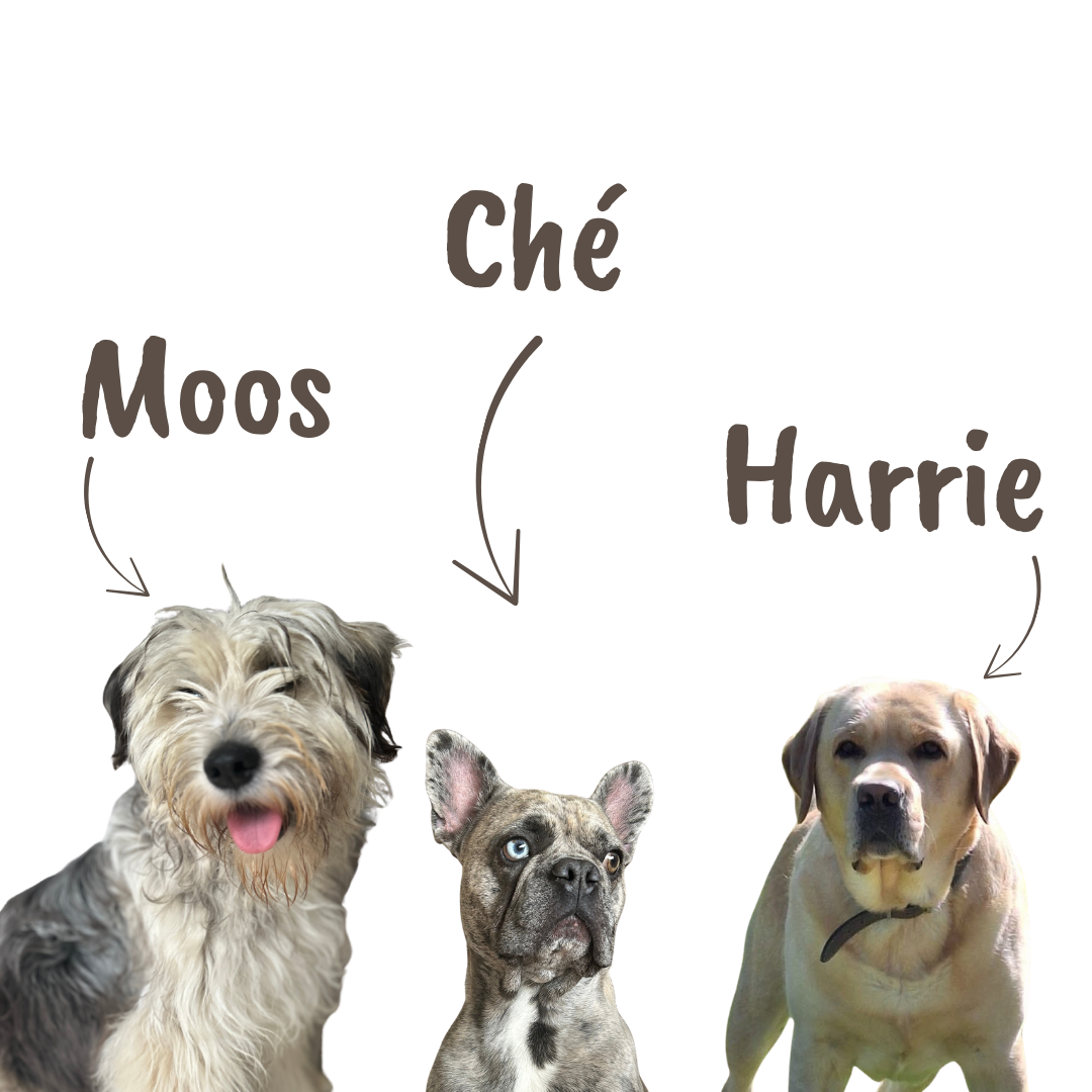 Moos, Che en Harrie